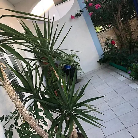 Aparthotel Senita's &