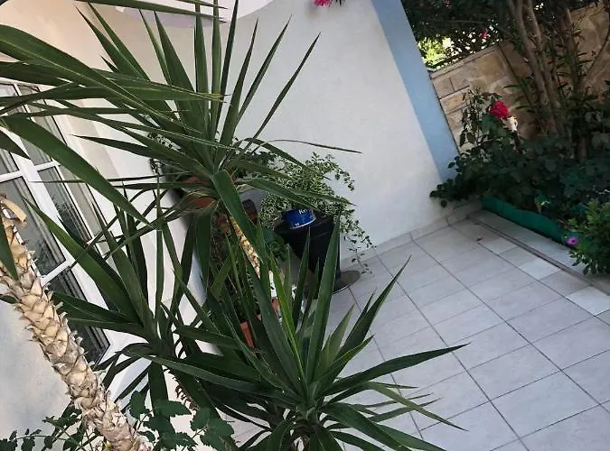 Ξενοδοχείο με διαμερίσματα Senita's &